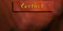 contact Angelo M